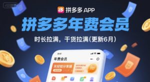 拼多多年费会员，实经验分享操，时长拉满，干货拉满(更新26年2月)-木子聊项目