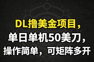 DL撸美金项目，单日单机50美刀，操作简单，可矩阵多开-木子聊项目