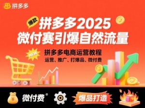 拼多多微付费引爆自然流量,拼多多电商运营教程,运营、推广、打爆品、微付费(更新26年2月)-木子聊项目