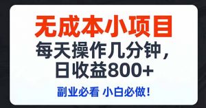 无成本小项目,每天操作几分钟,日收益800+ 副业必看 小白必做！-木子聊项目