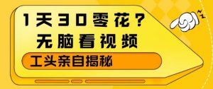 1天30零花？无脑看视频，大佬亲自揭秘-木子聊项目