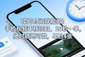 碎片时间就能做！手机视频审核项目，20秒一单，随时随地可做，单日4张+【揭秘】-木子聊项目
