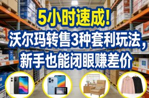 5小时速成!沃尔玛转售3种套利玩法,新手也能闭眼賺差价-木子聊项目