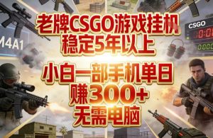 老牌CSGO游戏挂G，稳定5年以上，小白一部手机单日賺3张+，无需电脑【揭秘】-木子聊项目