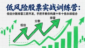 低风险股票实战训练营:低估分散排雷三箭齐发,手把手教你构建十年十倍永续组合-木子聊项目