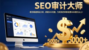 SEO审计大师:教你精通网站分析,修复SEO问题,为有效的审核收费5000美元以上!-木子聊项目