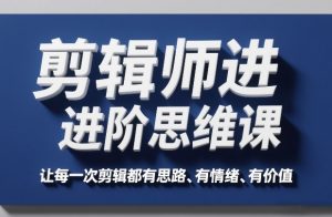 剪辑师进阶思维课,让每一次剪辑都有思路、有情绪、有价值-木子聊项目