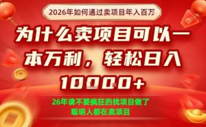 一单净利润1K+，26年想年入100个W，死磕卖项目就够了【揭秘】-木子聊项目