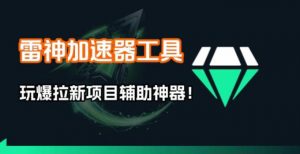 雷神加速器项目模拟器_无脑1分钟1条视频矩阵_疯狂报单打法【焚诀】-木子聊项目