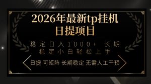 2026年最新tp挂机日提项目：稳定日入1000+小白轻松上手-木子聊项目
