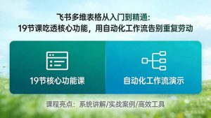 飞书多维表格从入门到精通:19节课吃透核心功能,用自动化工作流告别重复劳动-木子聊项目
