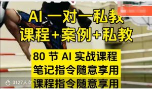 AI指令实战课，课程+案例，80节AI实战课程，笔记指令随意享用，课程指令随意享用(更新26年3月)-木子聊项目
