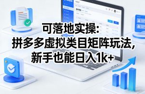 可落地实操:拼多多虚拟类目矩阵玩法,新手也能日入1k+【揭秘】-木子聊项目
