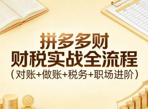 拼多多财税实战全流程(对账+做账+税务+职场进阶)-木子聊项目