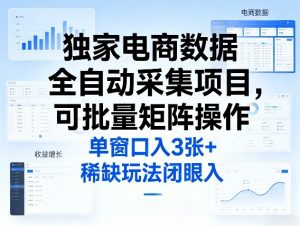 独家电商数据全自动采集项目，可批量矩阵操作，单窗口日入3张+，稀缺玩法闭眼入【揭秘】-木子聊项目