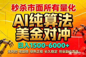 2026全网首发黑马项目，AI美金算法对冲，日入2000-6000+，稳定长效0风险，彻底告别996死工资-木子聊项目