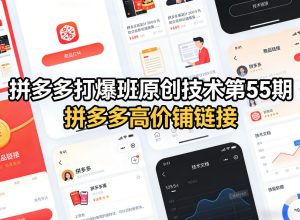 拼多多打爆班原创技术第55期,拼多多高价铺链接-木子聊项目