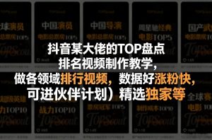 抖音某大佬的TOP盘点排名视频制作,做各领域排行视频,数据好涨粉快,可进伙伴计划+精选独家等-木子聊项目