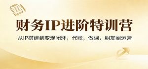 财务IP进阶特训营:从IP搭建到变现闭环,代账,做课,朋友圈运营-木子聊项目