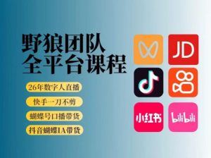 野狼团队2026新版全平台短视频带货教学,打开流量突破口,开始Ai带货(更新26年3月)-木子聊项目