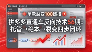 拼多多直通车反向技术56期:托管→稳本→裂变四步闭环,单款裂变100链接抢占核心流量-木子聊项目