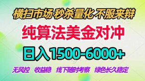 2026美金掘金新风口-纯算法对冲震撼上线！日入1500-6000+，长久合规稳健，轻松摆脱死工资-木子聊项目