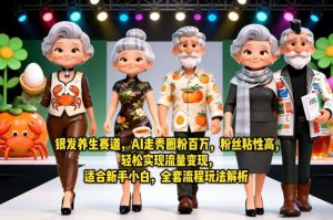 银发养生赛道，AI走秀圈粉百万，粉丝粘性高，轻松实现流量变现，适合新手小白，全套流程玩法解析-木子聊项目