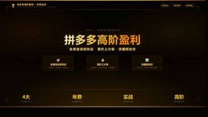 拼多多高阶盈利年费会员:全类目活动玩法、原价上大促、洗图防比价等核心盈利技术(更新26年3月-木子聊项目
