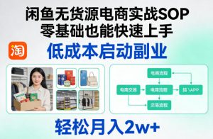 闲鱼无货源电商实战SOP,零基础也能快速上手,低成本启动副业,轻松月入2w+-木子聊项目