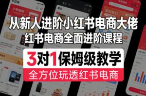 从新人进阶小红书电商大佬,红书电商全面进阶课程,3对1保姆级教学,全方位玩透红书电商-木子聊项目
