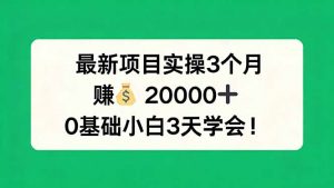 最新项目实操3个月，赚钱20000+，0基础小白3天学会！-木子聊项目