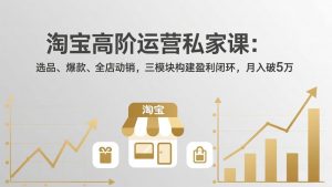 淘宝高阶运营私家课(更新26年4月-木子聊项目