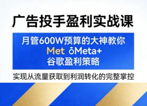 广告投手盈利实战课，月管600W预算的大神教你Meta+谷歌盈利策略，实现从流量获取到利润转化的完整掌控-木子聊项目