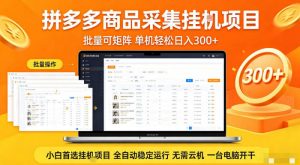 拼多多商品信息全自动采集项目,批量可矩阵,单机轻松日入300+,无需云机一台电脑开干【揭秘】-木子聊项目