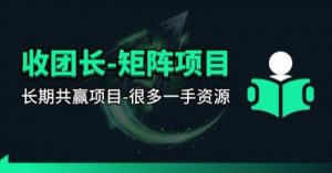 【团长合作】视频矩阵项目_招发手矩阵+剪辑师，共赢项目【揭秘】-木子聊项目