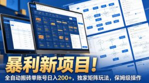 暴利新项目！全自动搬砖单账号日入200+，独家矩阵玩法，保姆级操作【揭秘】-木子聊项目