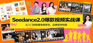 Seedance2.0爆款视频实战课：从入门到精通电商带货，品牌宣传短剧-木子聊项目