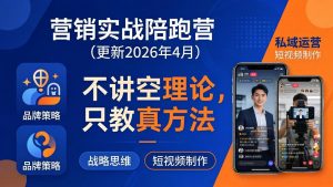 营销实战陪跑营(更新26年4月-木子聊项目