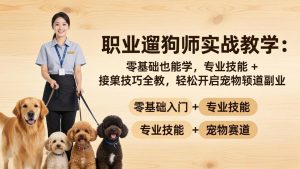 职业遛狗师实战教学:零基础也能学,专业技能 + 接单技巧全教,轻松开启宠物赛道副业-木子聊项目