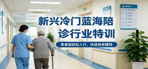 新兴冷门蓝海陪诊行业特训，零基础轻松入行，快速接单赚钱-木子聊项目