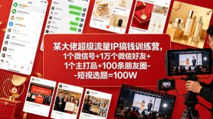 某大佬超级流量IP搞钱训练营,1个微信号+1万个微信好友+1个主打品+100条朋友圈-短视选题=100W-木子聊项目