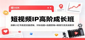 短视频IP高阶成长班:拆解小红书底层流量逻辑,对标选题+拍摄剪辑+ 精准引流实战教学-木子聊项目