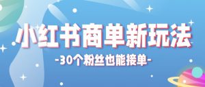 合新手小白操作的小红书商单新玩法，低粉丝也能接单，一个月接三单赚了150+！-木子聊项目