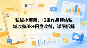 私域小项目，12条作品预估私域收益3k+网盘收益，详细拆解-木子聊项目