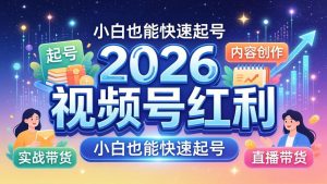 2026视频号红利实战营,大佬亲授起号、内容、直播、IP、投流、私域、矩阵全套落地打法-木子聊项目