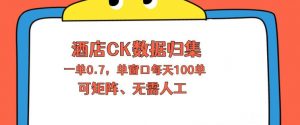 上班也能玩的酒店CK数据归集，一单0.7单窗口每天可做100单，一个人就能矩阵操作【揭秘】-木子聊项目