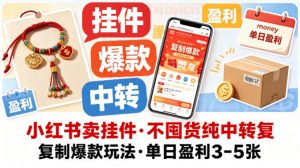 小红书卖挂件，不囤货纯中转复制爆款玩法，单日盈利3-5张-木子聊项目