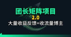 【团长合作2.0】视频矩阵项目_招发手矩阵+剪辑师，共赢项目【揭秘】-木子聊项目