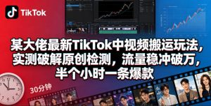 某大佬最新TikTok中视频搬运玩法，实测破解原创检测，流量稳冲破万，半个小时一条爆款-木子聊项目