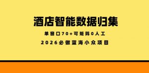 酒店智能数据归集，小众蓝海已经稳定半年之久，单窗口70+零成本矩阵开干【揭秘】-木子聊项目